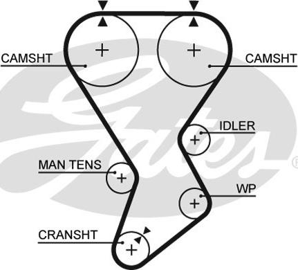 GATES-SEA T935 - Ремінь ГРМ avtolavka.club