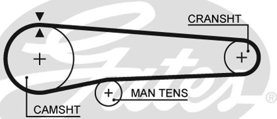 GATES-SEA T300 - Ремінь ГРМ avtolavka.club