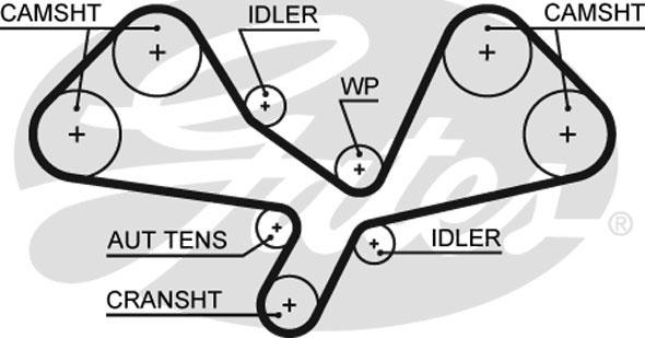 GATES-SEA T330 - Ремінь ГРМ avtolavka.club