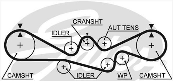 GATES-SEA T254 - Ремінь ГРМ avtolavka.club