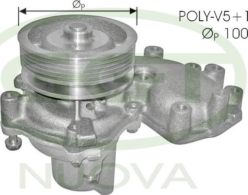 GGT PA10557 - Водяний насос avtolavka.club