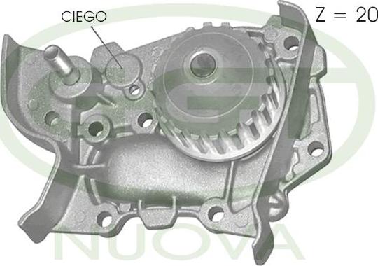 GGT PA11075 - Водяний насос avtolavka.club