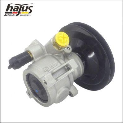 hajus Autoteile 4221044 - Гідравлічний насос, рульове управління, ГУР avtolavka.club