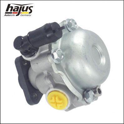 hajus Autoteile 4221040 - Гідравлічний насос, рульове управління, ГУР avtolavka.club