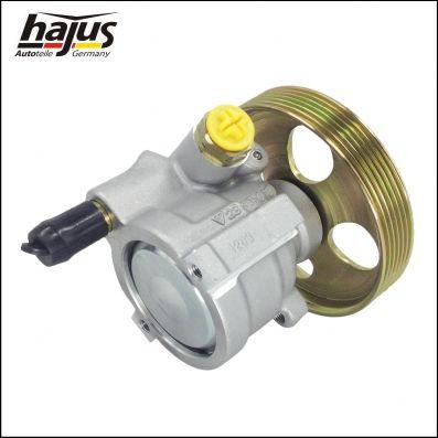 hajus Autoteile 4221047 - Гідравлічний насос, рульове управління, ГУР avtolavka.club