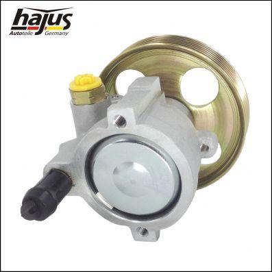 hajus Autoteile 4221050 - Гідравлічний насос, рульове управління, ГУР avtolavka.club