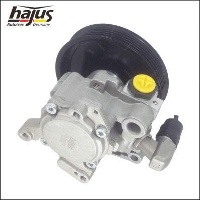 hajus Autoteile 4221032 - Гідравлічний насос, рульове управління, ГУР avtolavka.club