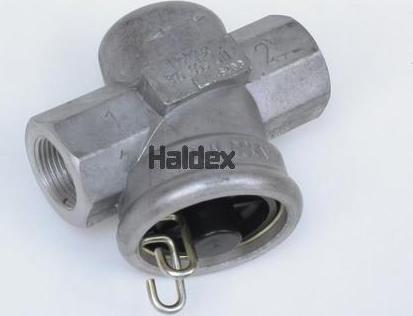 Haldex 310005011 - Повітряний фільтр avtolavka.club