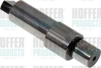 Hoffer 80298633 - Ремкомплект, система common-rail avtolavka.club