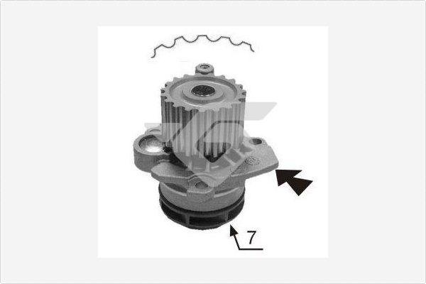 Hutchinson WP0067V - Водяний насос avtolavka.club