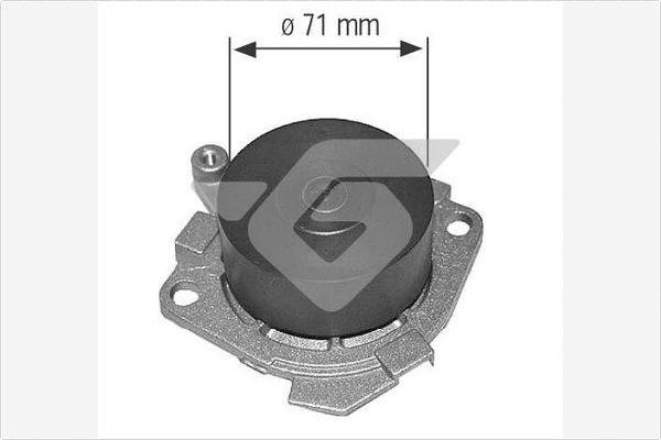 Hutchinson WP0025V - Водяний насос avtolavka.club