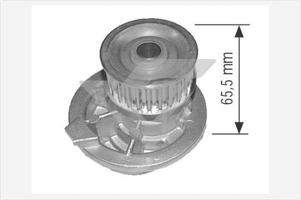 Hutchinson WP0020V - Водяний насос avtolavka.club