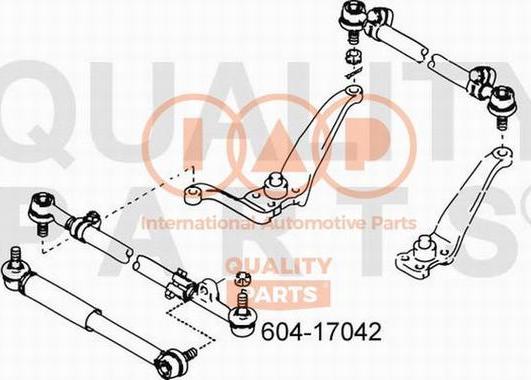 IAP QUALITY PARTS 604-17042 - Наконечник рульової тяги, кульовий шарнір avtolavka.club