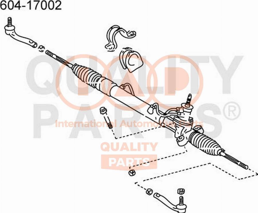 IAP QUALITY PARTS 604-17002 - Наконечник рульової тяги, кульовий шарнір avtolavka.club