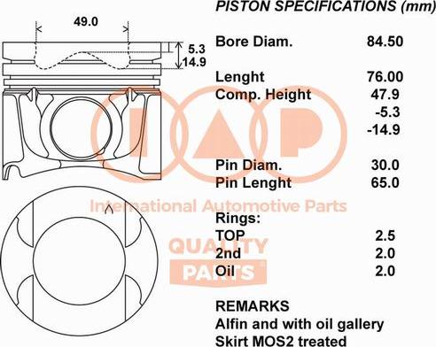 IAP QUALITY PARTS 100-13173 - Поршень avtolavka.club