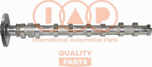 IAP QUALITY PARTS 124-07000G - Шток avtolavka.club