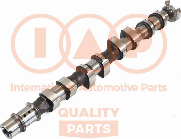 IAP QUALITY PARTS 124-20101 - Шток avtolavka.club