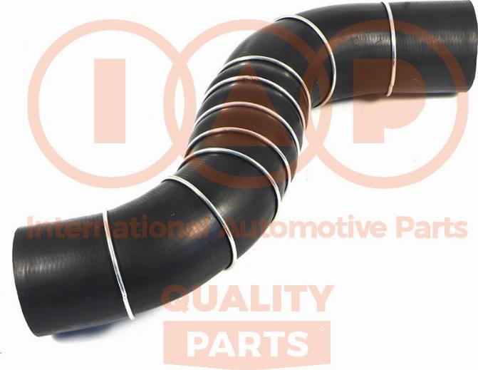 IAP QUALITY PARTS 171-13111 - Рукав повітрозабірника, повітряний фільтр avtolavka.club