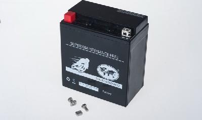 IPSA TMBA81600 - Стартерна акумуляторна батарея, АКБ avtolavka.club