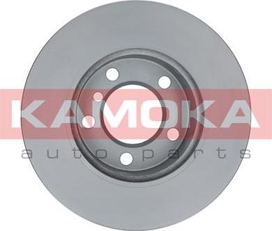 Kamoka 103231 - Гальмівний диск avtolavka.club