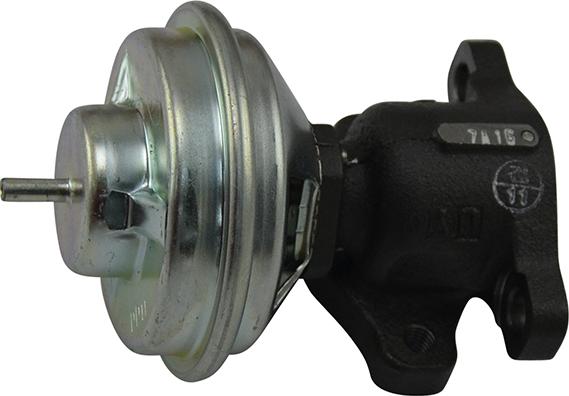 Kavo Parts EEG-3010 - Клапан повернення ОГ avtolavka.club