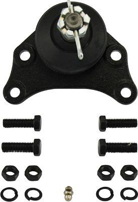 Kavo Parts SBJ-9019 - Шарова опора, несучий / направляючий шарнір avtolavka.club