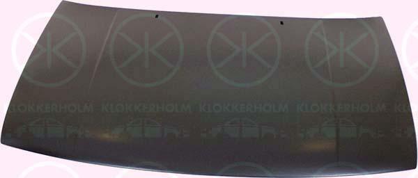 Klokkerholm 9542280 - Капот двигуна avtolavka.club