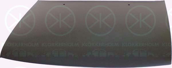 Klokkerholm 5050280 - Капот двигуна avtolavka.club