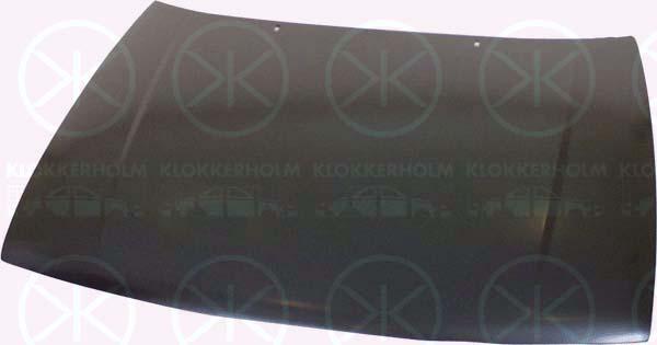 Klokkerholm 6607280 - Капот двигуна avtolavka.club
