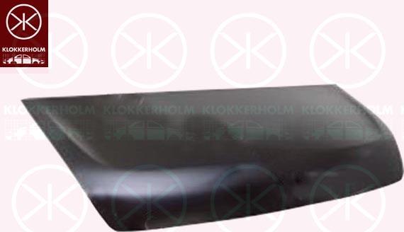 Klokkerholm 6089280 - Капот двигуна avtolavka.club