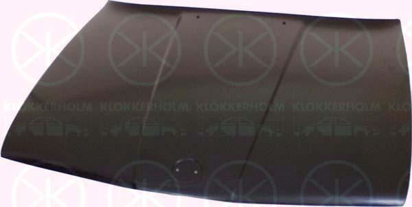 Klokkerholm 0054280 - Капот двигуна avtolavka.club