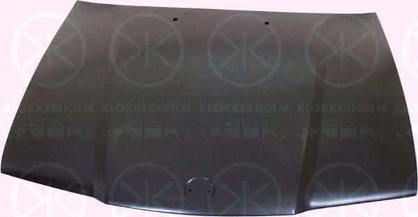 Klokkerholm 0060280 - Капот двигуна avtolavka.club