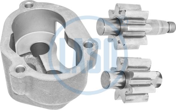 Laso 55581801 - Комплект шестерень, масляний насос avtolavka.club