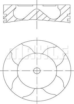 MAHLE 229 06 20 - Поршень avtolavka.club