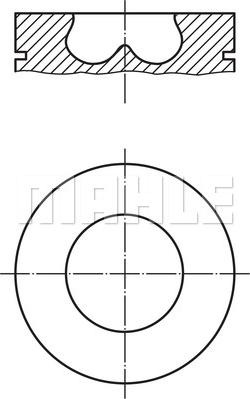 MAHLE 033 PI 00102 000 - Поршень avtolavka.club