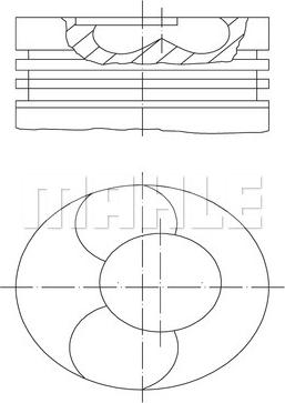 MAHLE 228 31 00 - Поршень avtolavka.club