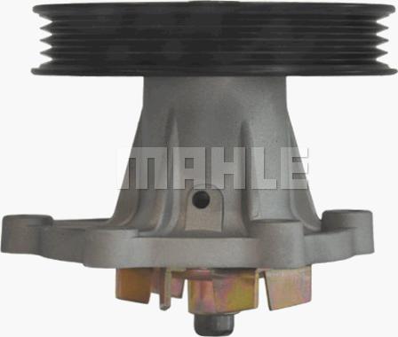 MAHLE CP 97 000P - Водяний насос avtolavka.club