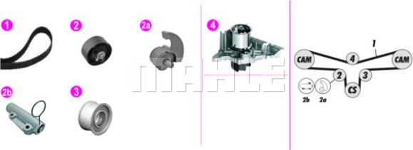 MAHLE CPK 130 000P - Водяний насос + комплект зубчатого ременя avtolavka.club