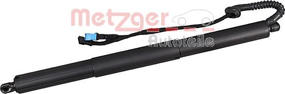 Metzger 2115021 - Електромотор, задні двері avtolavka.club