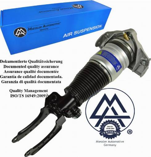 MiesslerAutomotive FBNL-002S-6263 - Опора пневматичної ресори avtolavka.club