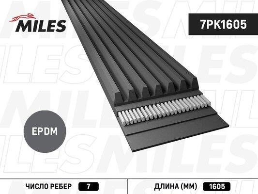 Miles 7PK1605 - Поліклиновий ремінь avtolavka.club