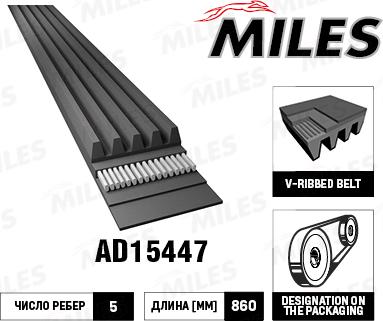 Miles AD15447 - Поліклиновий ремінь avtolavka.club