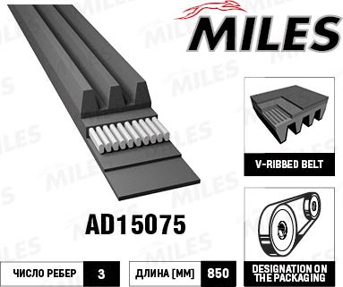 Miles AD15075 - Поліклиновий ремінь avtolavka.club