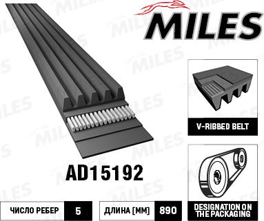 Miles AD15192 - Поліклиновий ремінь avtolavka.club