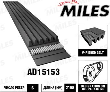 Miles AD15153 - Поліклиновий ремінь avtolavka.club