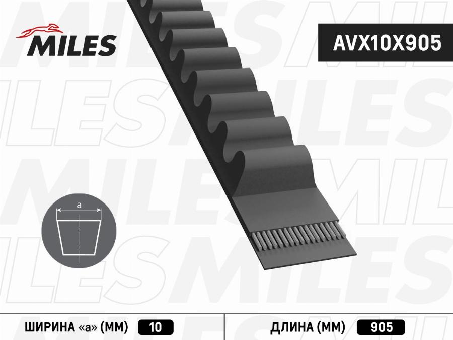 Miles AVX10X905 - Клиновий ремінь avtolavka.club