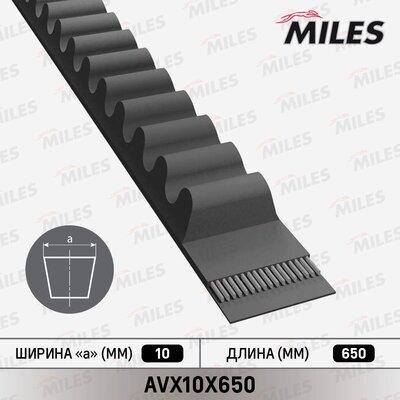 Miles AVX10X650 - Клиновий ремінь avtolavka.club