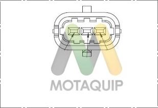 Motaquip LVCP141 - Датчик, положення розподільного валу avtolavka.club
