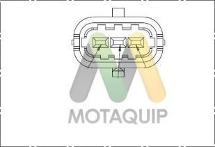 Motaquip LVCP169 - Датчик, положення розподільного валу avtolavka.club