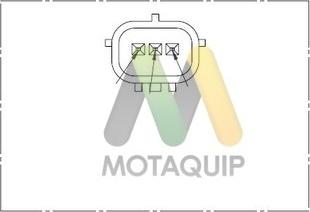 Motaquip LVCP320 - Датчик, положення розподільного валу avtolavka.club